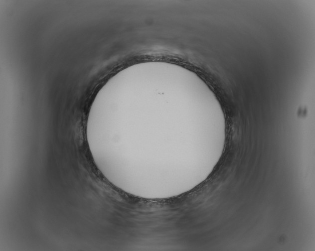 X0000091881493200710031731