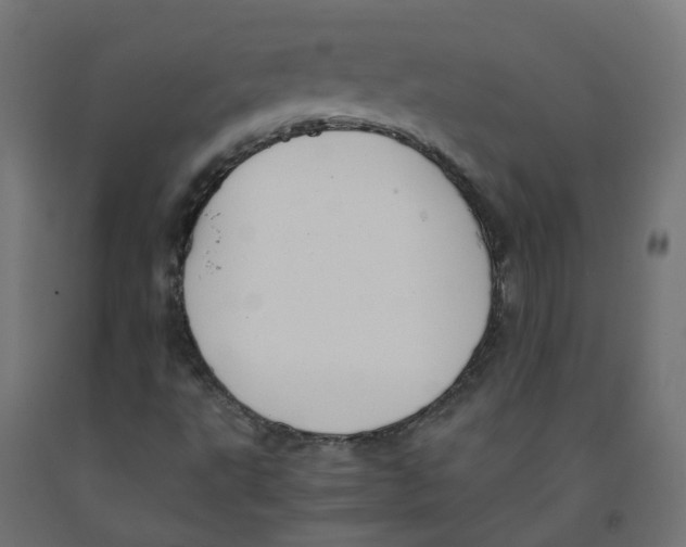 X0000091881495200710031731