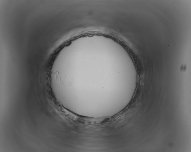 X0000091881496200710031731