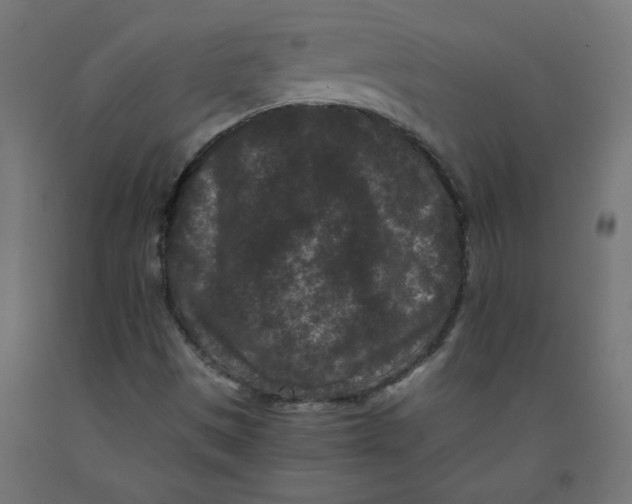 X0000091881497200710031731