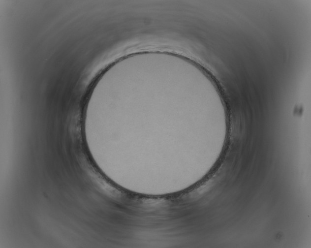 X0000091881498200710031731