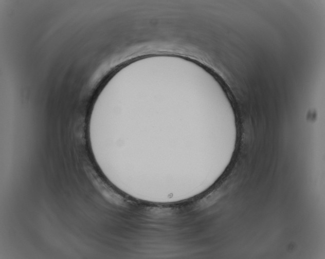 X0000091881499200710031731