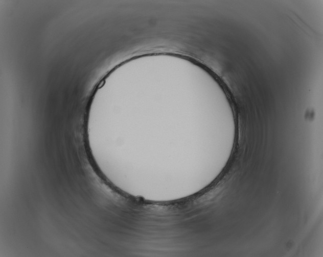 X0000091881500200710031731