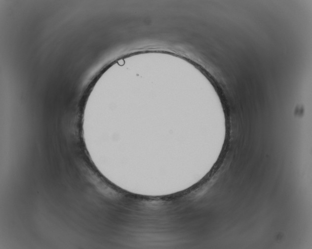 X0000091881502200710031731