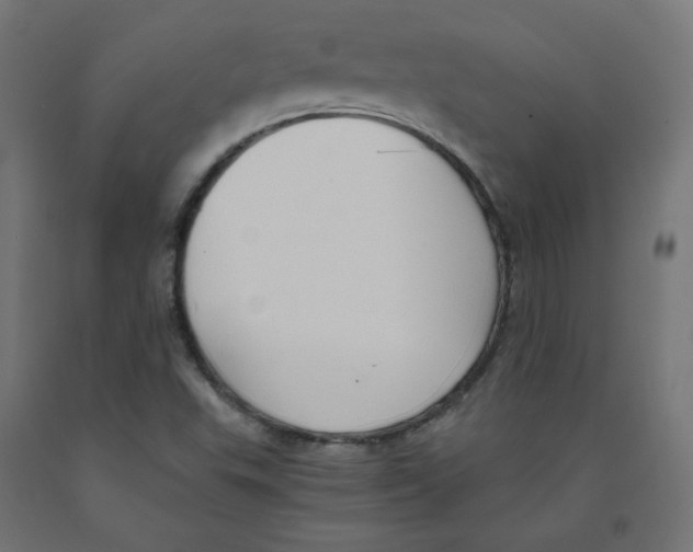 X0000091881503200710031731