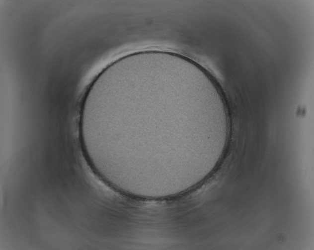 X0000091881504200710031731