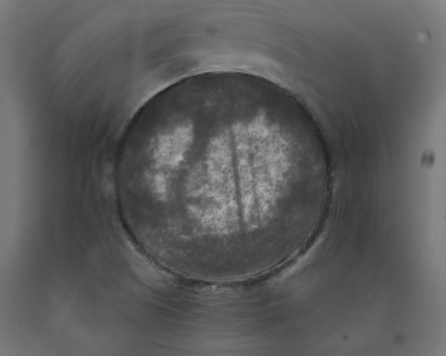 X0000091881505200710031731