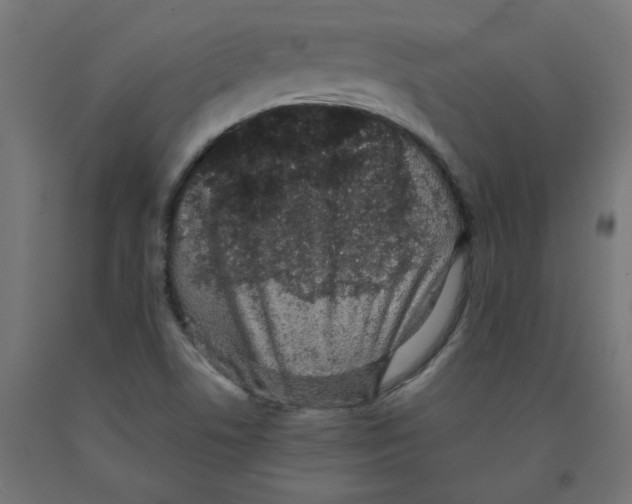 X0000091881506200710031731