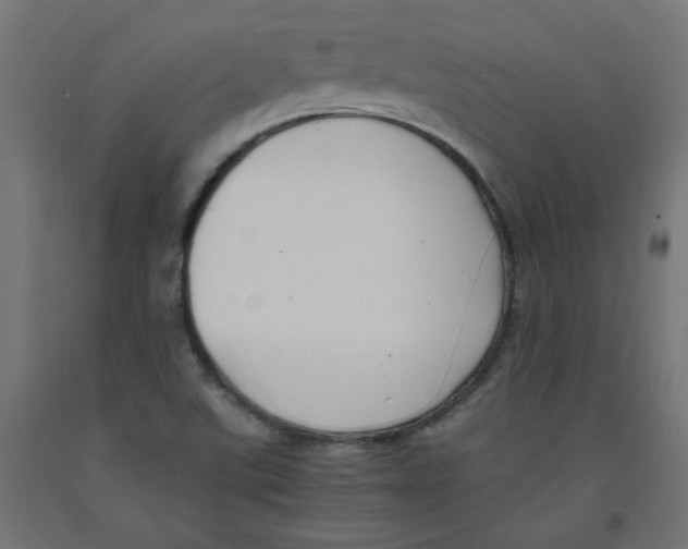 X0000091881507200710031731