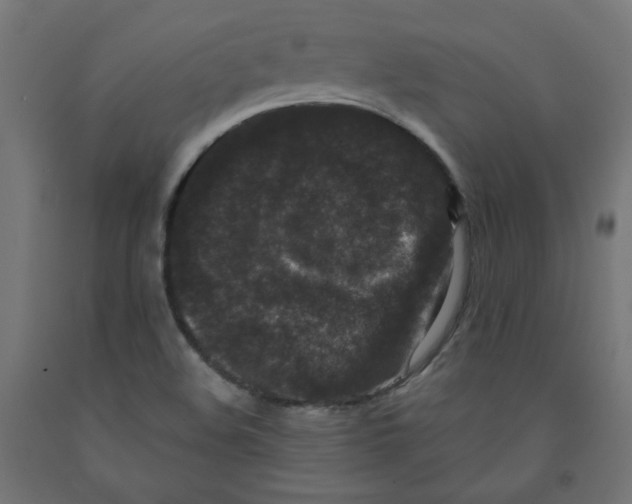 X0000091881508200710031731