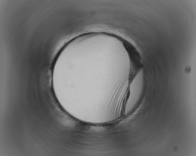 X0000091881509200710031731