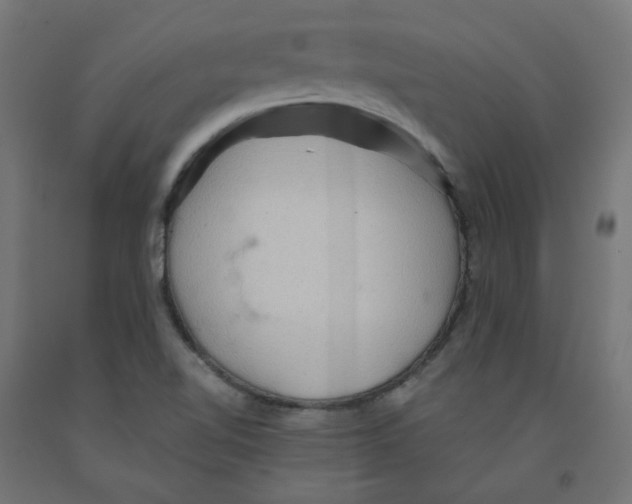 X0000091881510200710031731