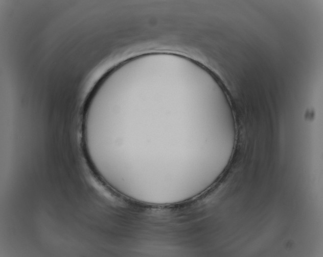 X0000091881511200710031731