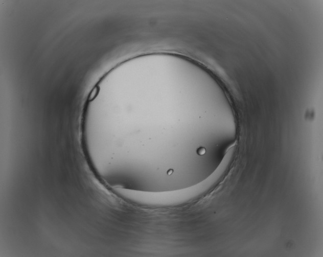 X0000091881512200710031731