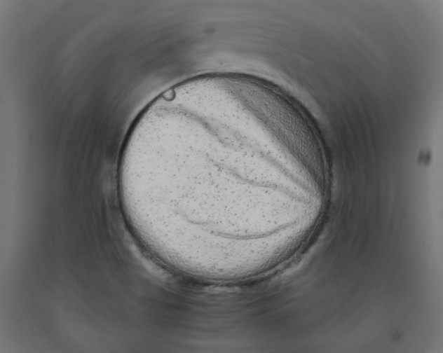 X0000091881513200710031731