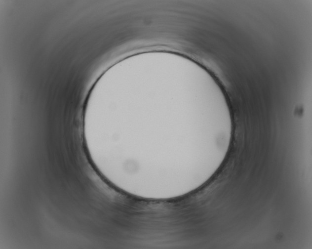 X0000091881516200710031731