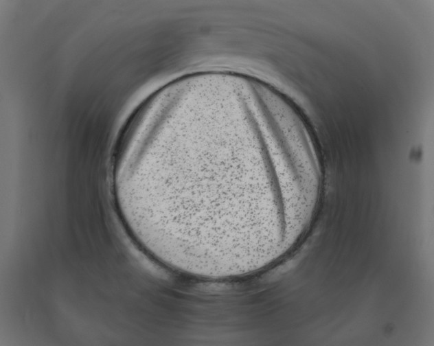 X0000091881517200710031731