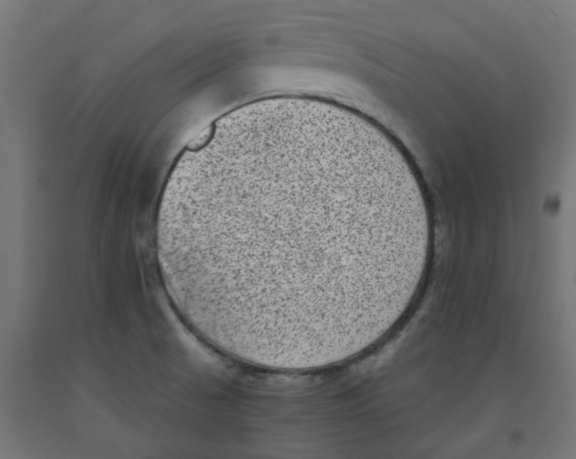 X0000091881521200710031731