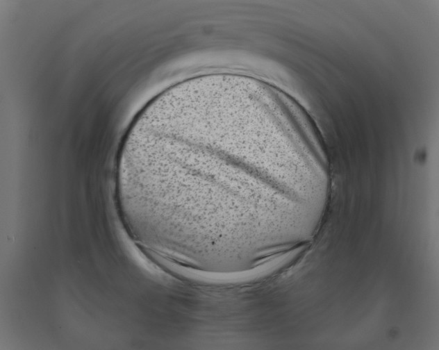 X0000091881523200710031731