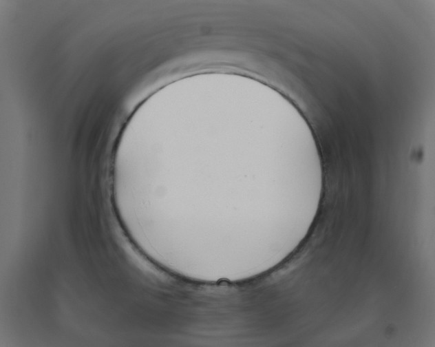 X0000091881526200710031731