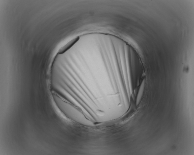 X0000091881528200710031731