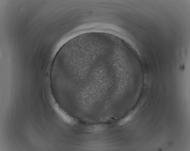 X0000091881530200710031731