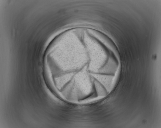 X0000091881531200710031731