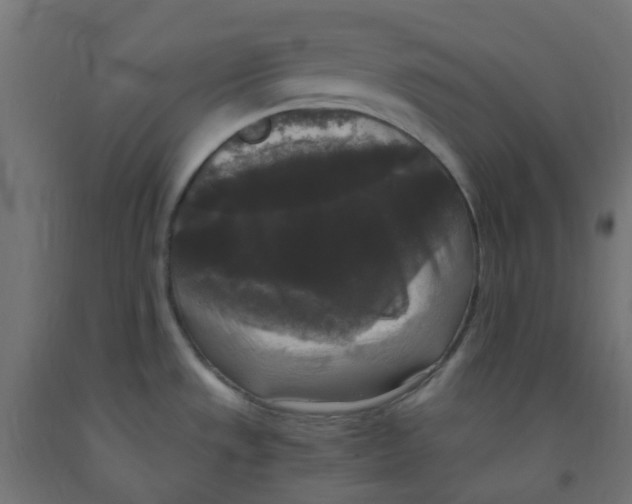 X0000091881533200710031731