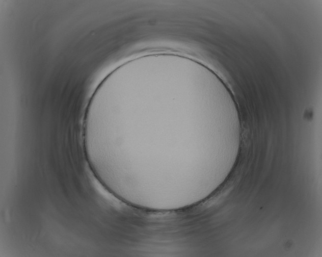 X0000091881535200710031731