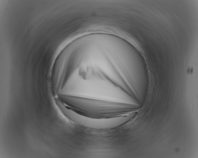 X0000091881536200710031731