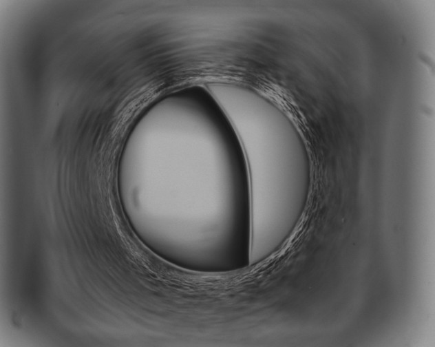 X0000091890001200709051053