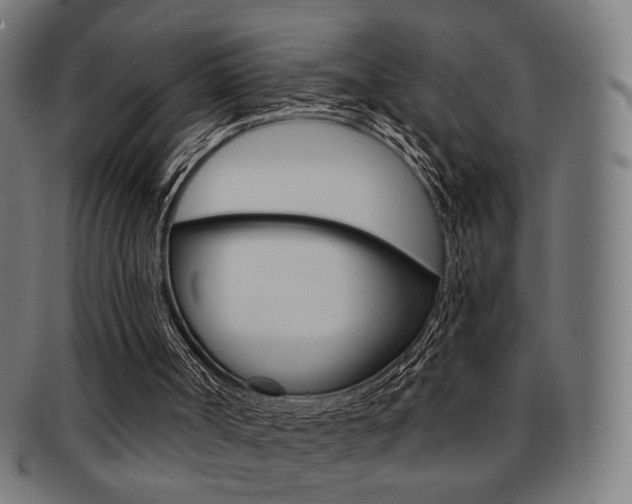 X0000091890002200709051053