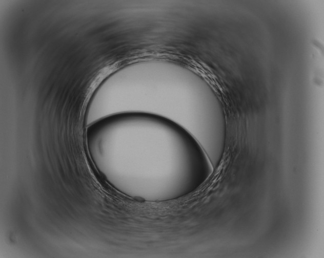 X0000091890003200709051053