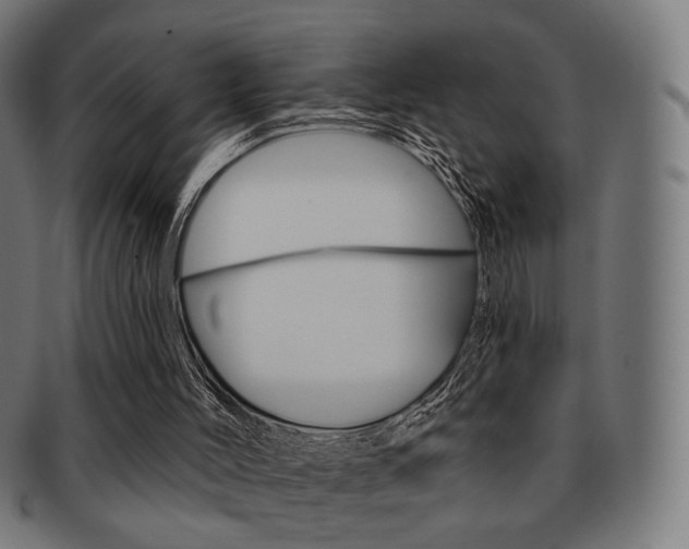 X0000091890004200709051053