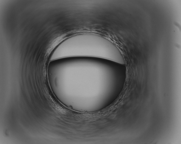 X0000091890005200709051053