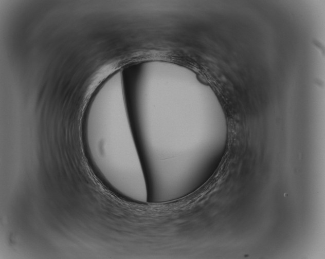 X0000091890006200709051053