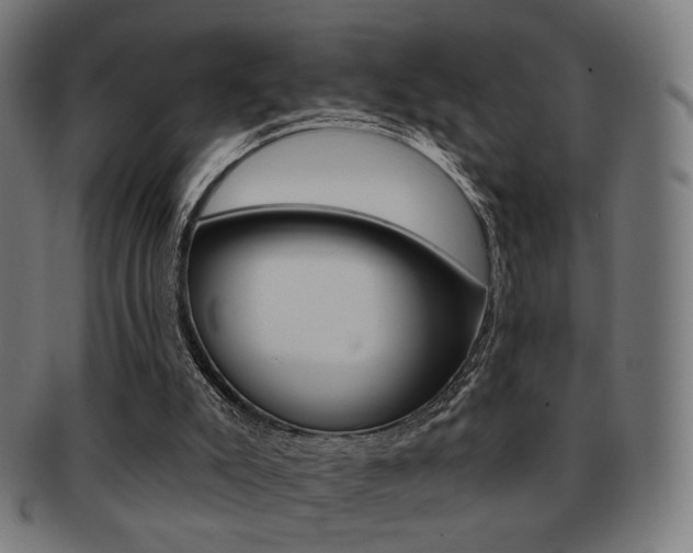X0000091890007200709051053