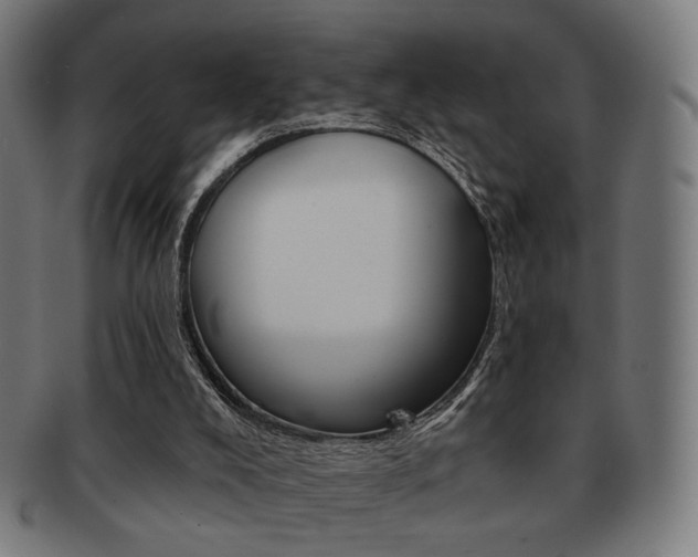 X0000091890008200709051053