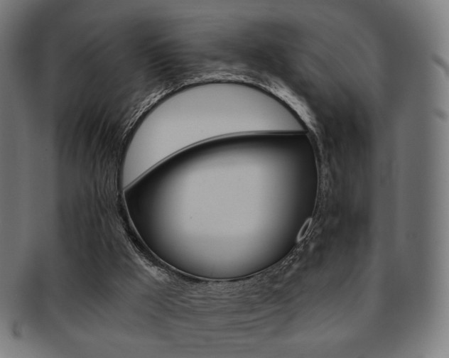 X0000091890009200709051053