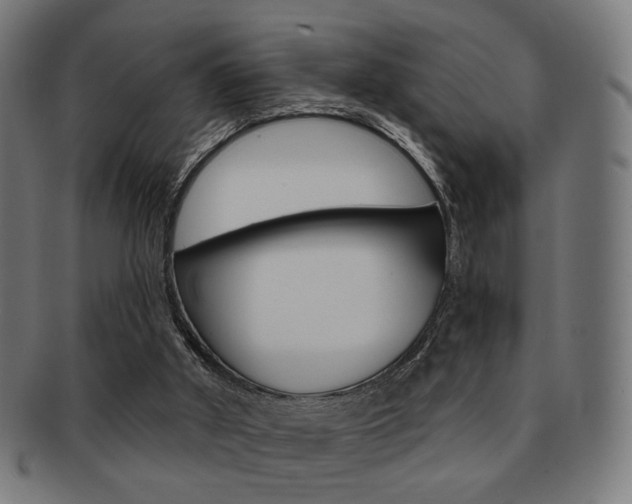 X0000091890010200709051053