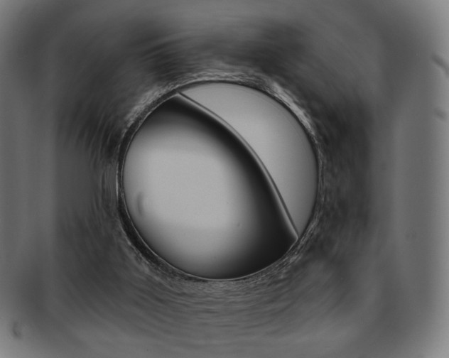 X0000091890011200709051053
