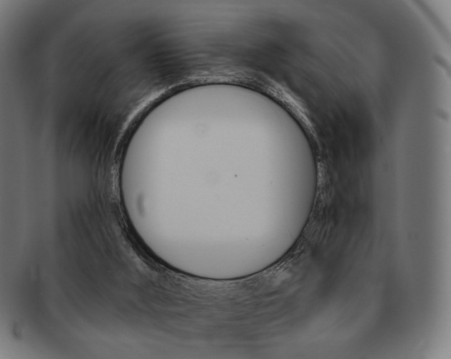 X0000091890012200709051053