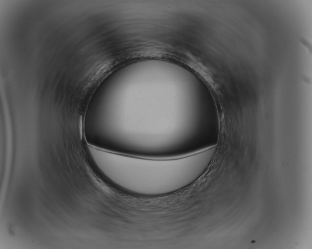 X0000091890013200709051053