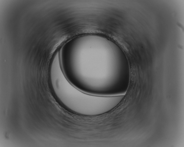 X0000091890015200709051053