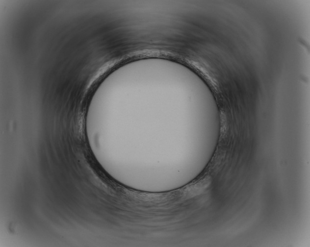 X0000091890016200709051053