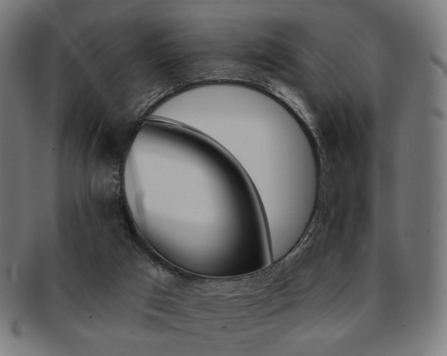 X0000091890017200709051053