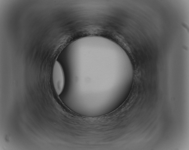 X0000091890018200709051053