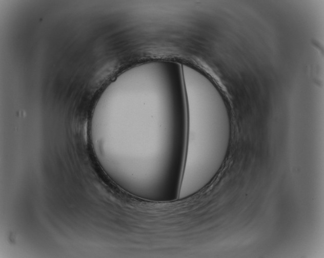 X0000091890019200709051053