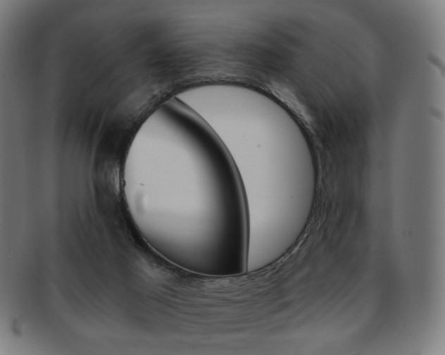 X0000091890021200709051053