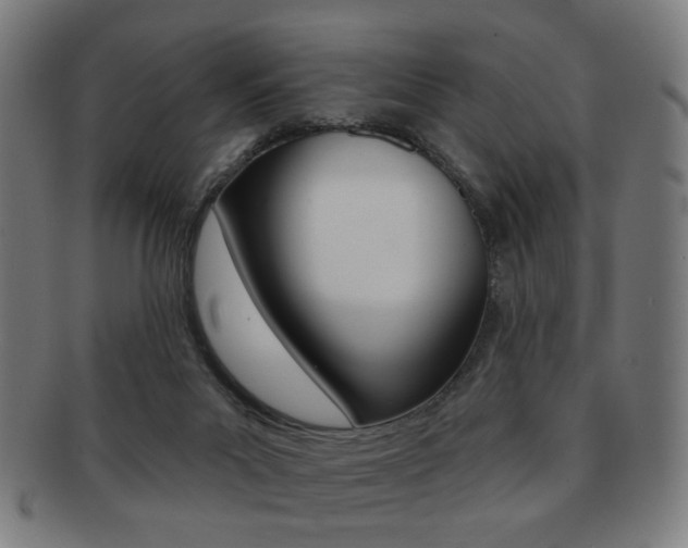 X0000091890023200709051053